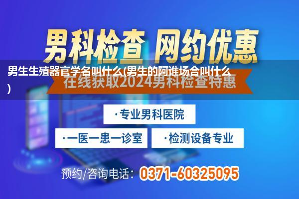 男生生殖器官学名叫什么(男生的阿谁场合叫什么)