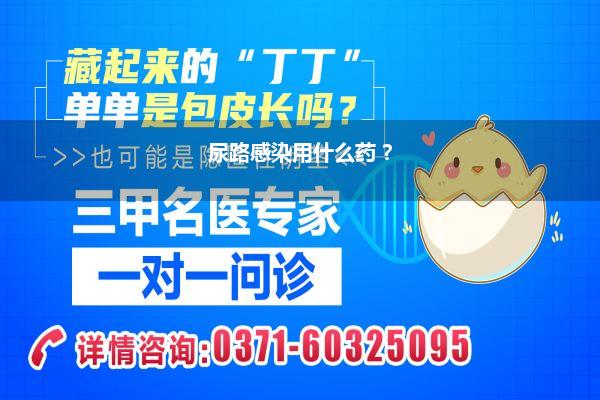 尿路感染用什么药 ?